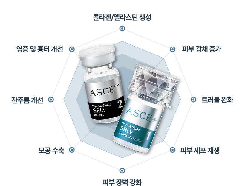 ASCE+ SRLV 다이어그램
